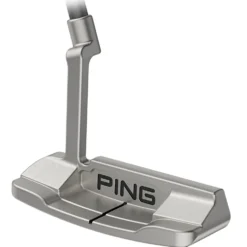 Anser D Putter