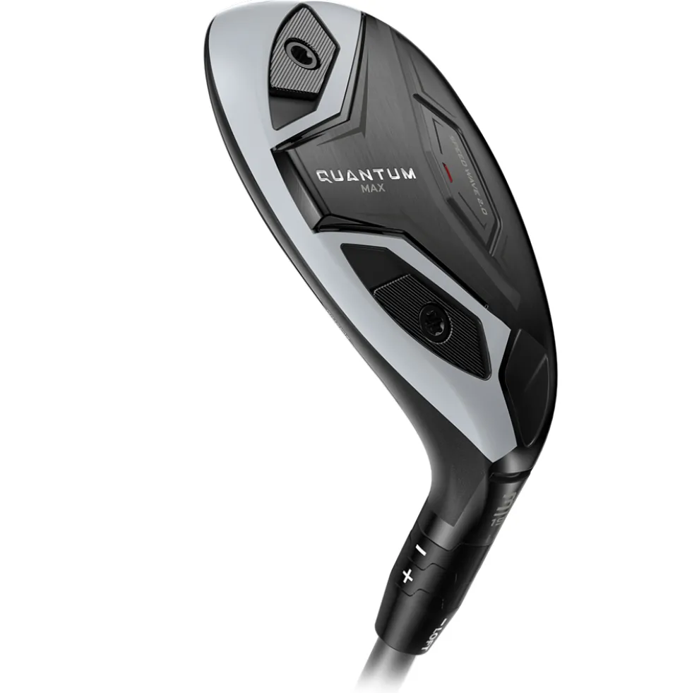 Quantum Max Hybrid