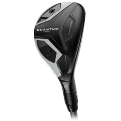 Quantum Max Hybrid