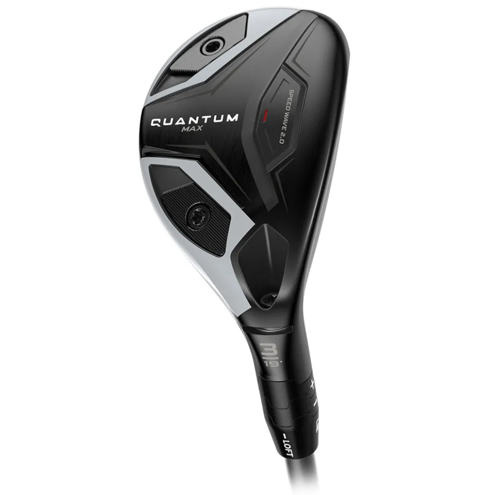 Quantum Max Hybrid