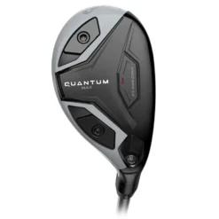 Quantum Max Hybrid Dame