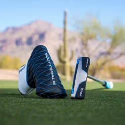 Scottsdale Anser Putter