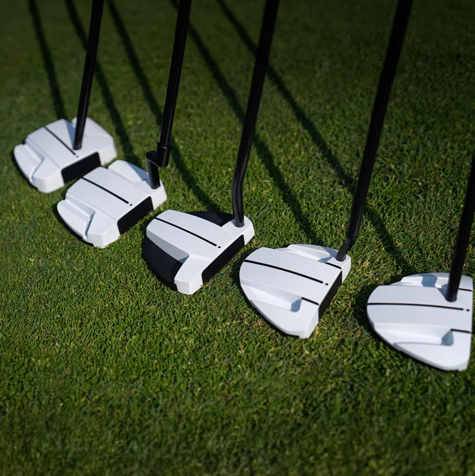 Scottsdale TEC Ally Blue H CB Putter